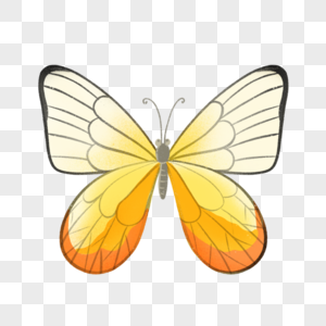 610000 Rama Rama Monarch Monarchs Serangga Alam Oren Hitam Putih Sayap Kuning Musim Panas Gambar Unduh Gratis My Lovepik Com