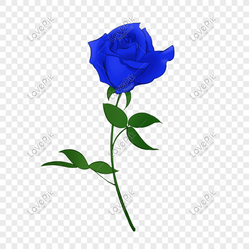 Rosa Azul PNG Imágenes Gratis - Lovepik