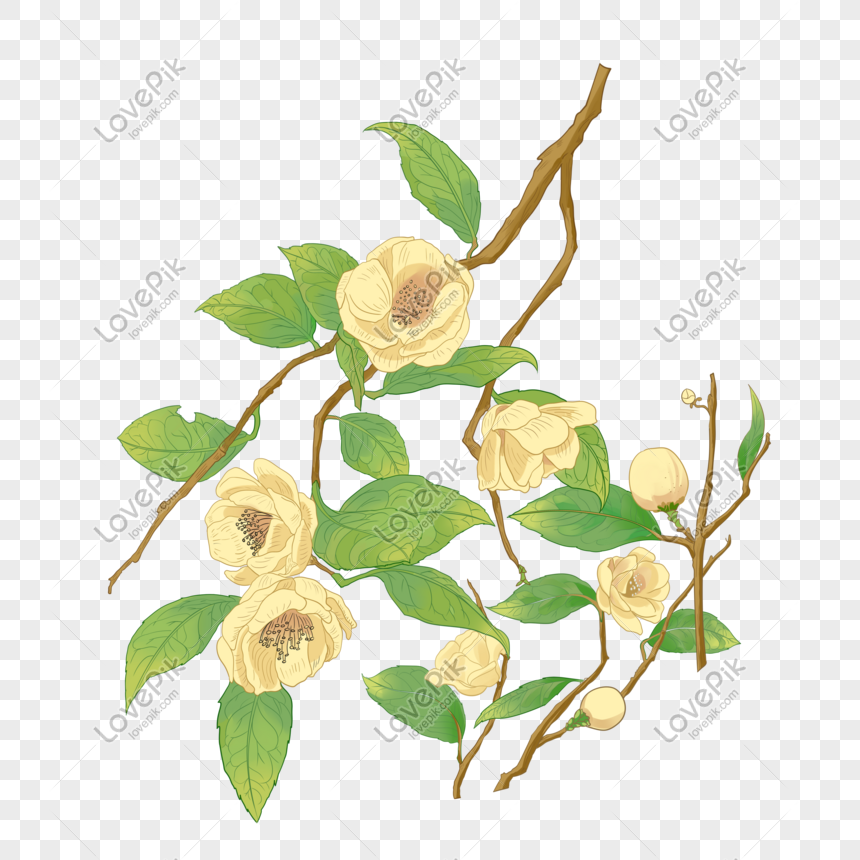 Golden Flower Tea Png Image Picture Free Download Lovepik Com