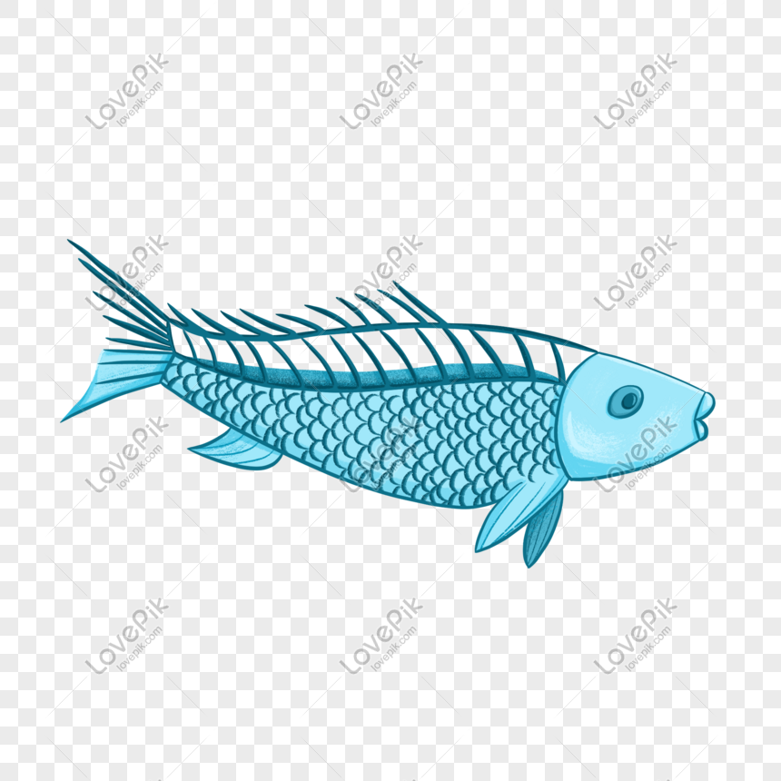 Gambar Ikan Salmon Kartun Gambar Ikan Hd