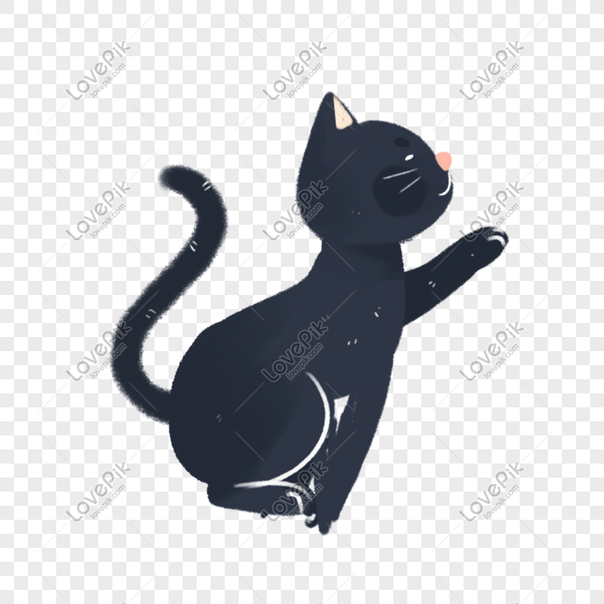 Anak Kucing PNG grafik gambar unduh gratis - Lovepik