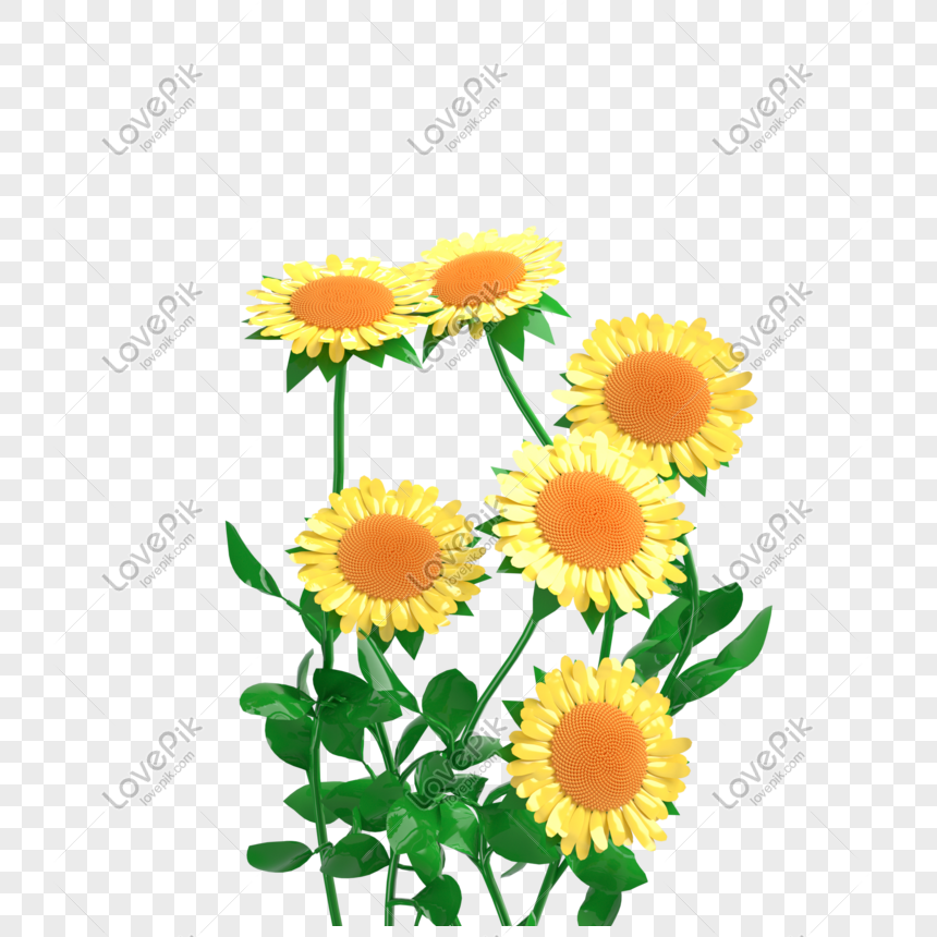 Kartun Bunga Matahari Png Grafik Gambar Unduh Gratis Lovepik