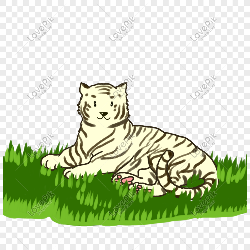 Tigre Blanco Imagenes De Graficos Png Gratis Lovepik