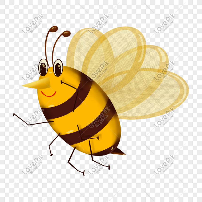 Gambar Animasi  Lebah  Png Gambar Animasi  Keren 