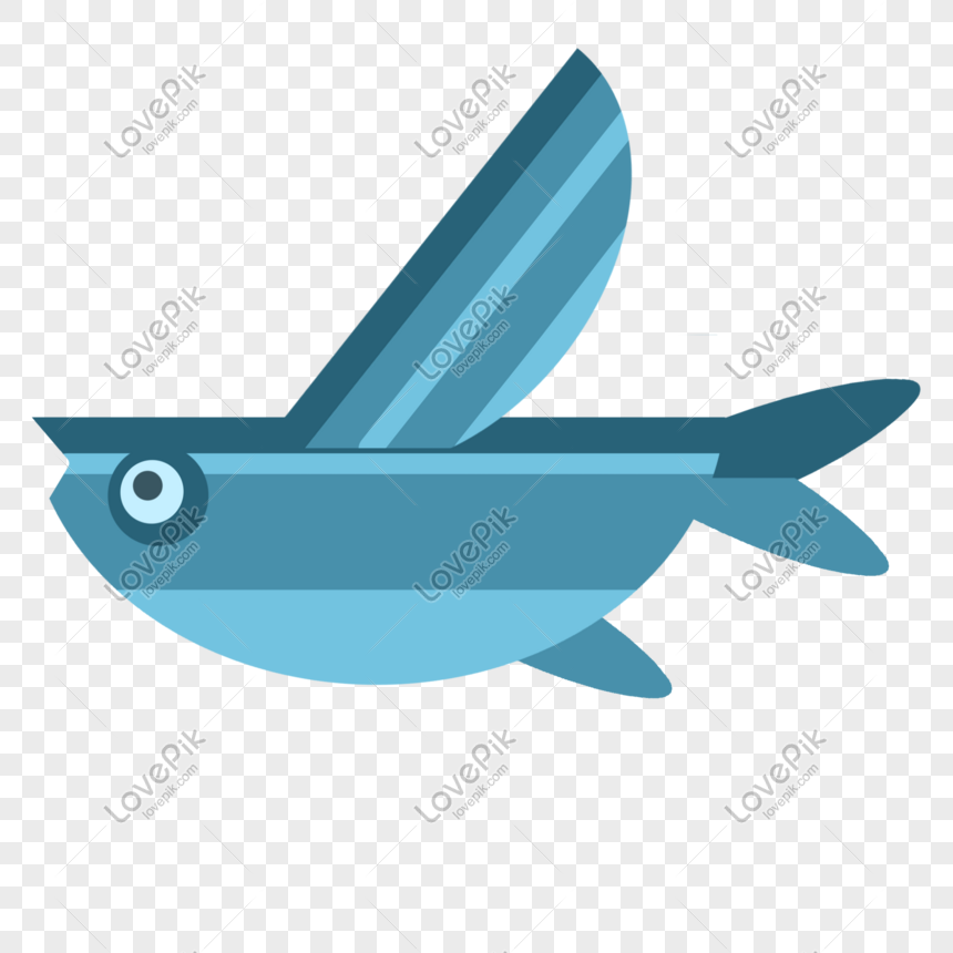 Flying Fish PNG Hd Transparent Image And Clipart Image For Free Download -  Lovepik | 401384464