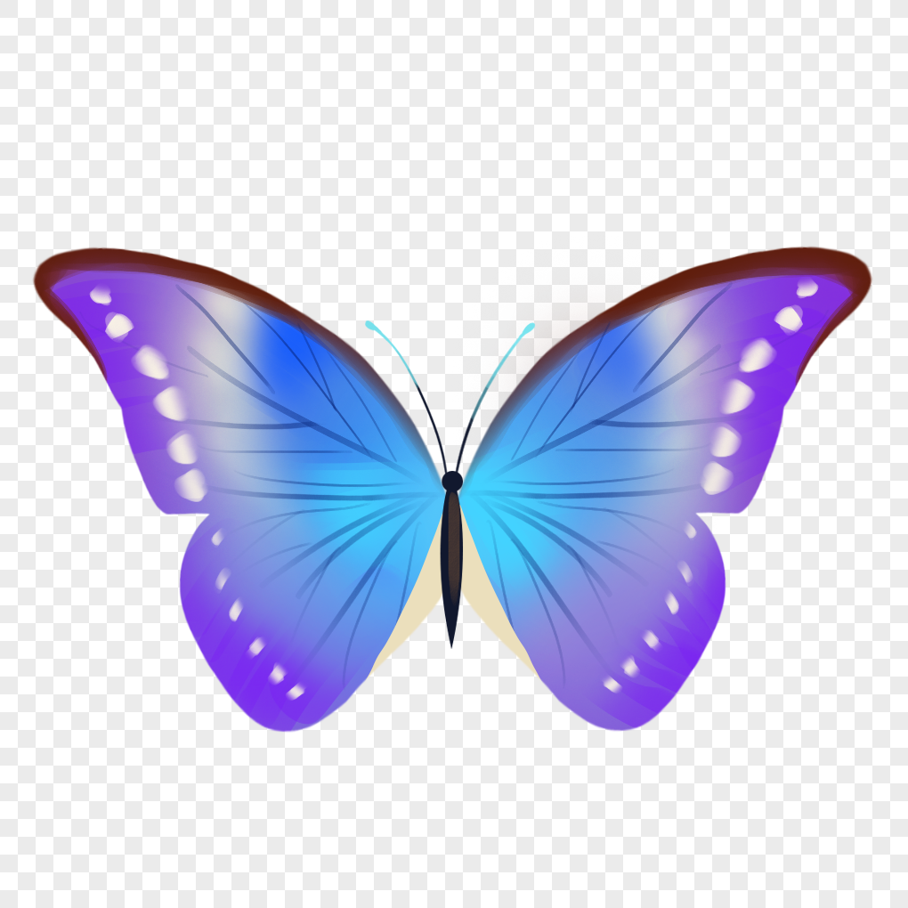 Butterfly, Butterfly, Beauty, Pollen PNG Image Free Download And ...