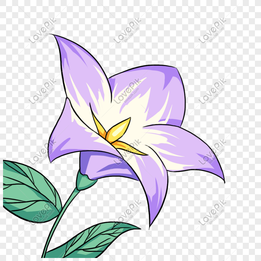 white lily flower smell clipart