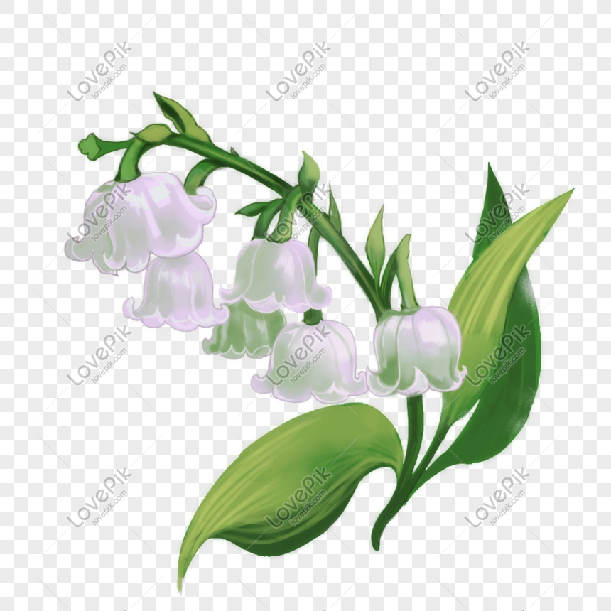 Blue Lily PNG, Vector, PSD, and Clipart With Transparent