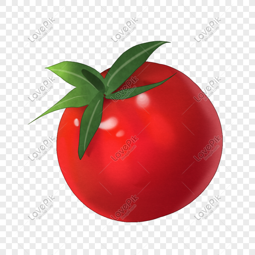 Cartoon Food Tomato Illustration Free PNG And Clipart Image For Free  Download - Lovepik | 401397349