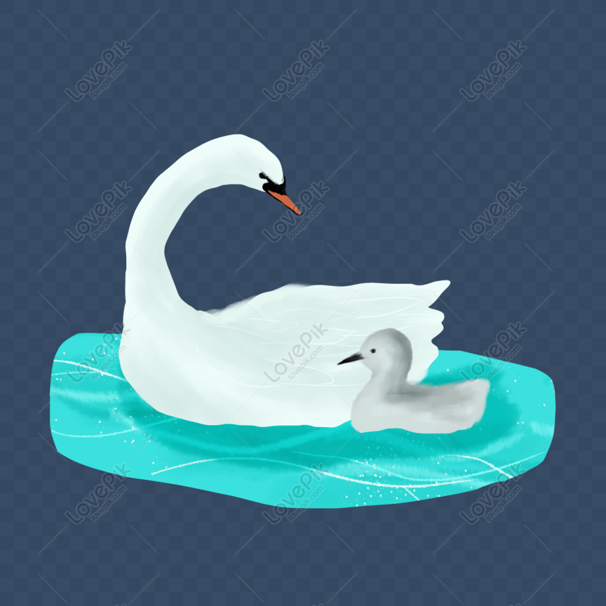 swan png image picture free download 401403301 lovepik com lovepik