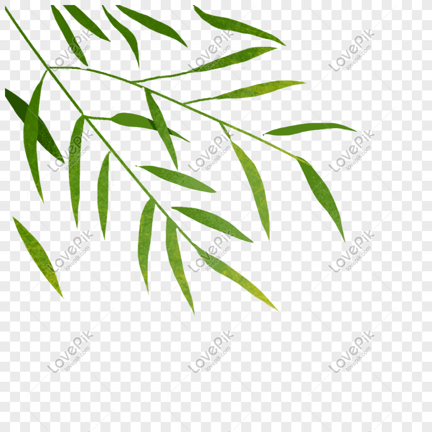 Bamboo Leaves Png Image Picture Free Download Lovepik Com