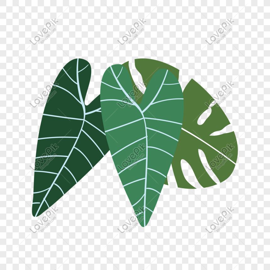 Summer Fresh Plants With Different Shapes Of Leaves Png Image Psd File Free Download Lovepik 401413419