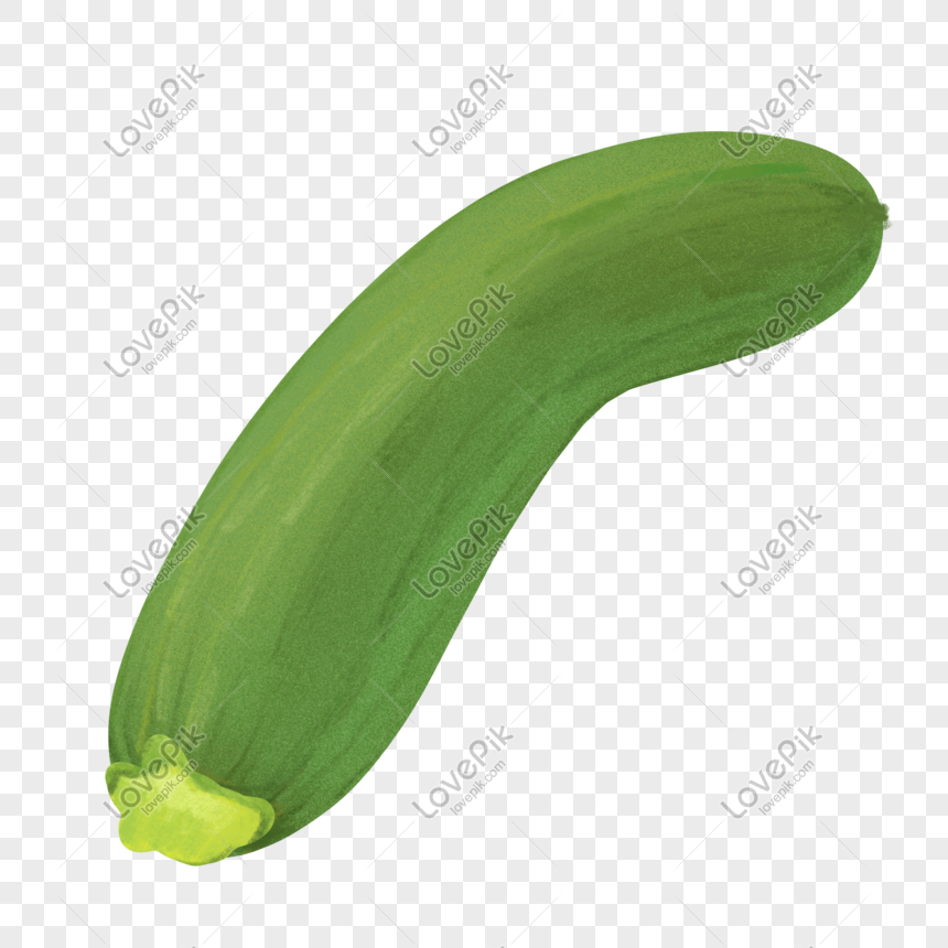 hand drawn vegetable zucchini png image picture free download 401413569 lovepik com hand drawn vegetable zucchini png