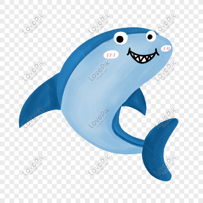 Hình ảnh cá mập cute đáng yêu | Cá mập, Đang yêu, Hình ảnh