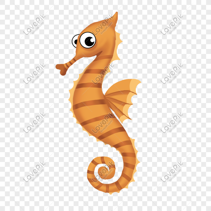 Seahorse PNG Free Download And Clipart Image For Free Download - Lovepik |  401418523