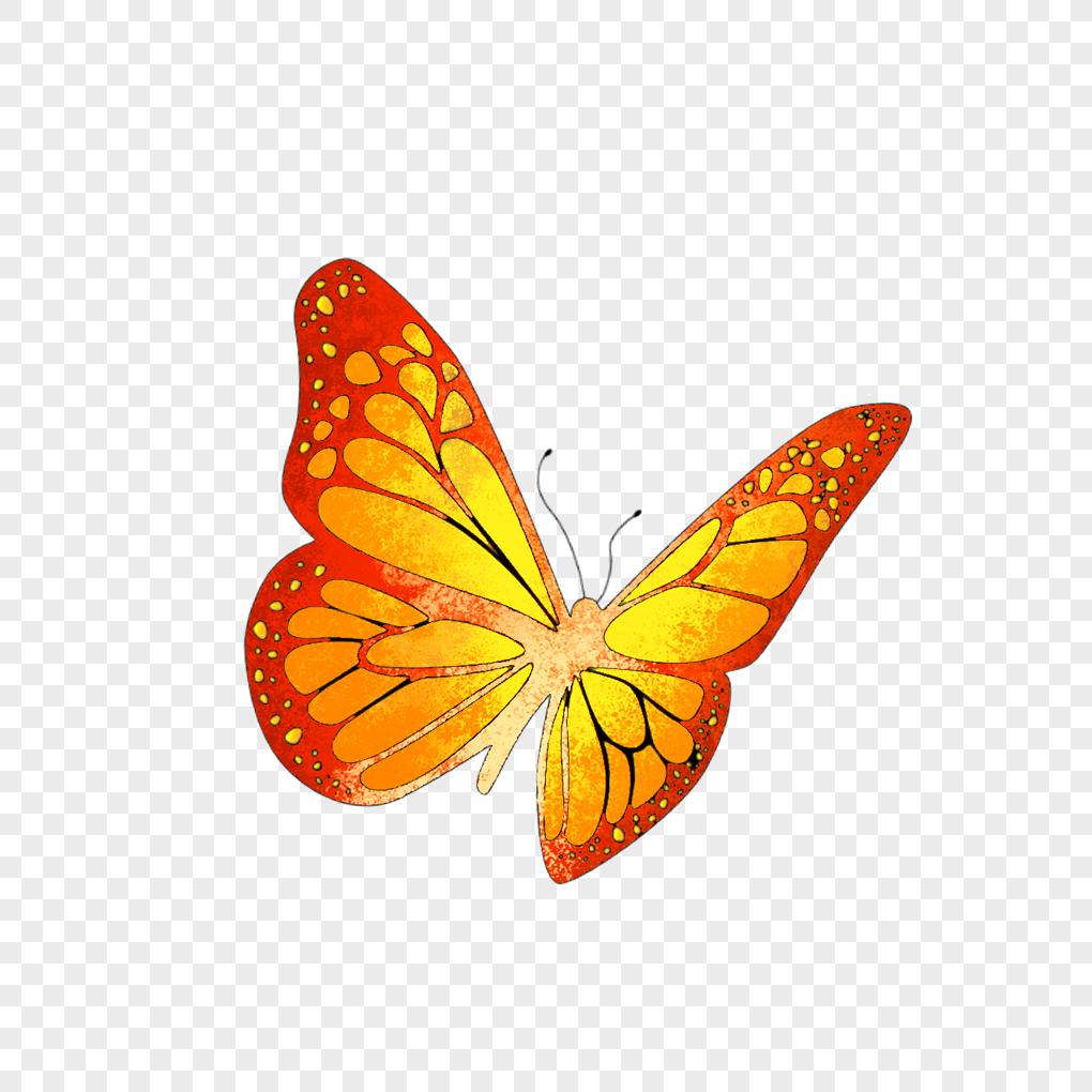 Flying butterfly png image_picture free download 401424145_lovepik.com