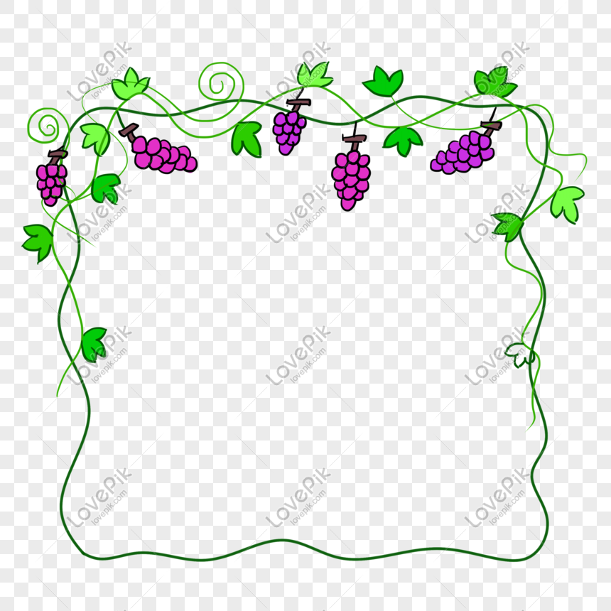 grape vine border png
