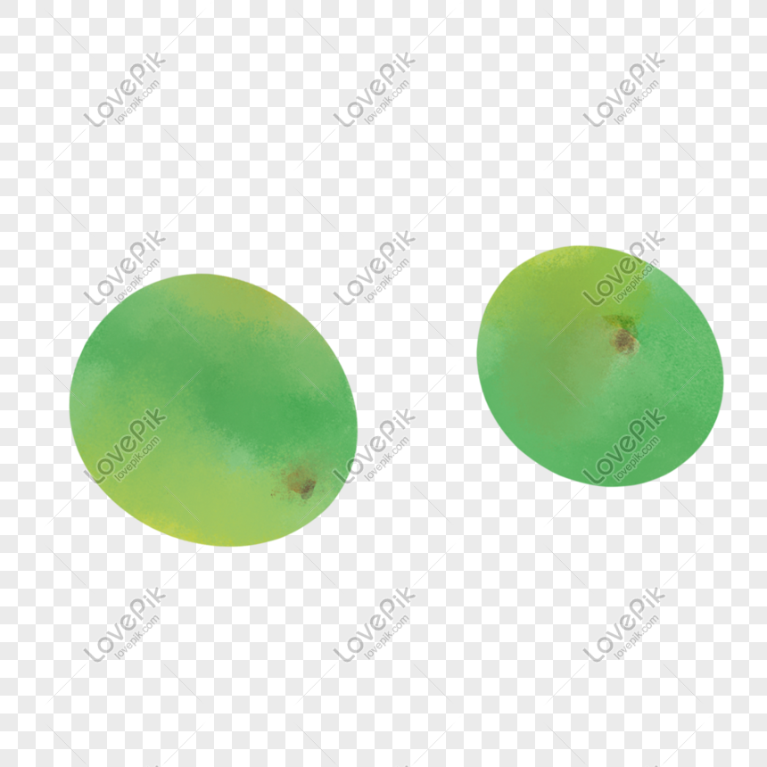 green plum png image picture free download 401426591 lovepik com lovepik