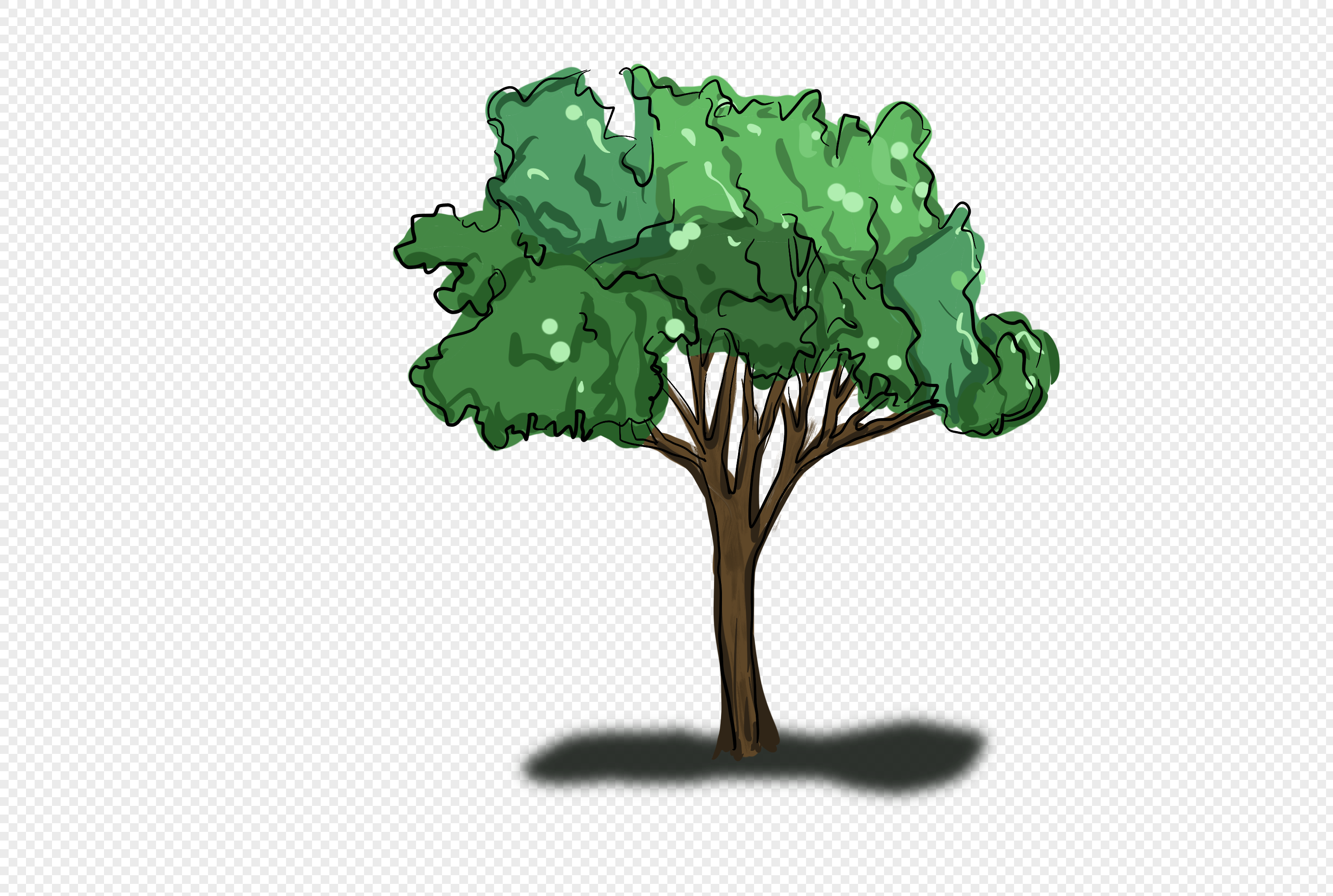 This is tree tree is green. Forest Clipart PNG.