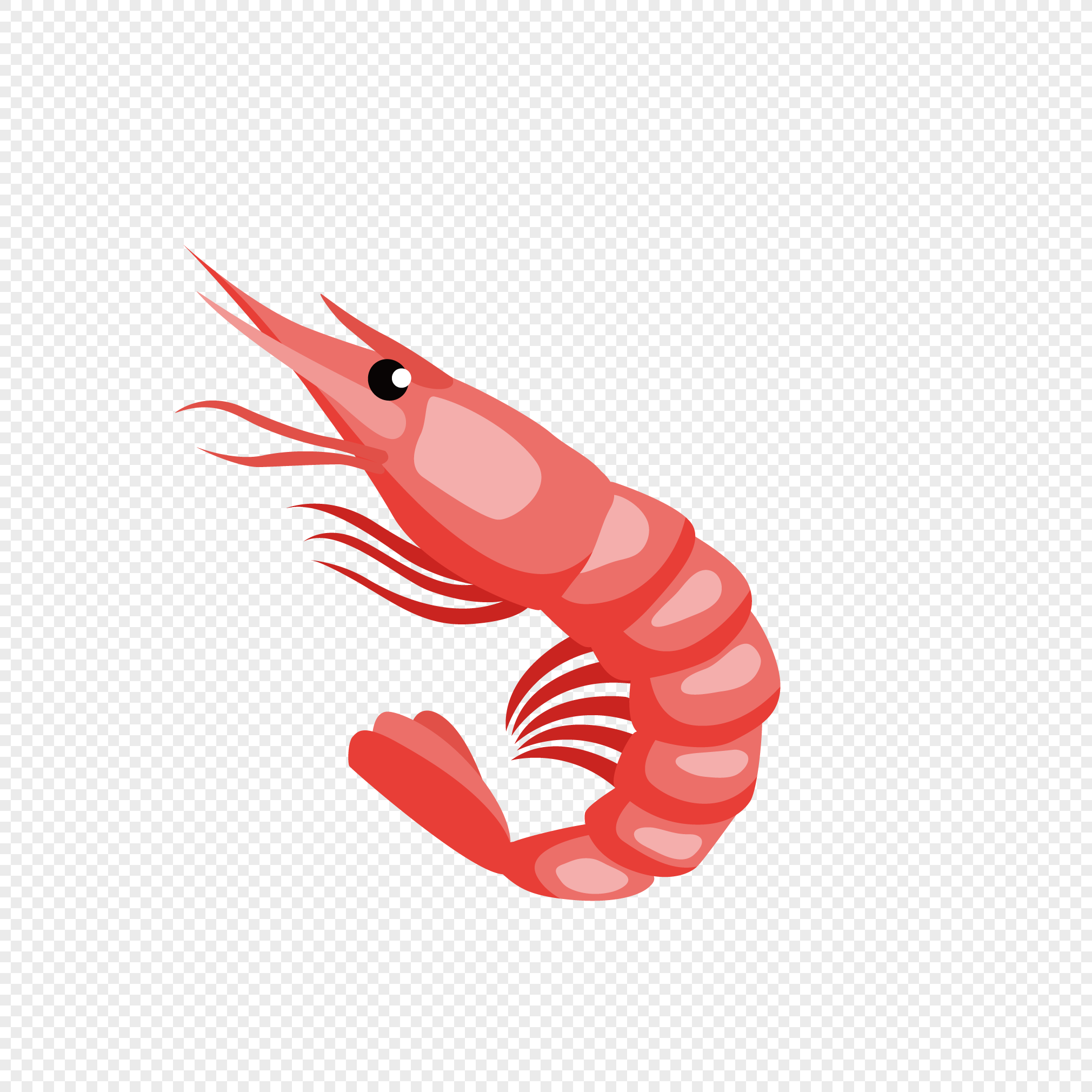 Shrimp PNG Image & PSD File Free Download - Lovepik | 401427369