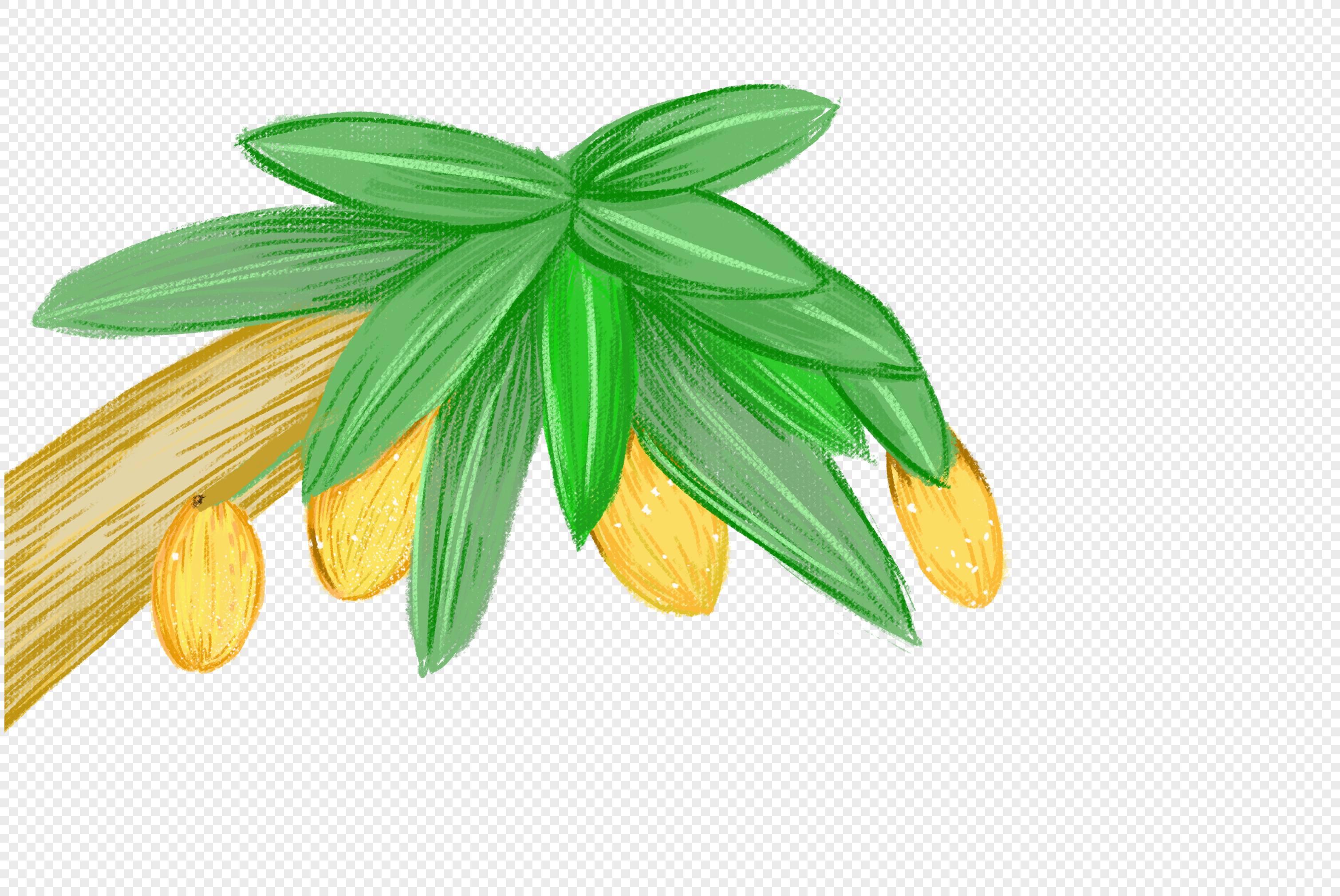 mango tree vector png