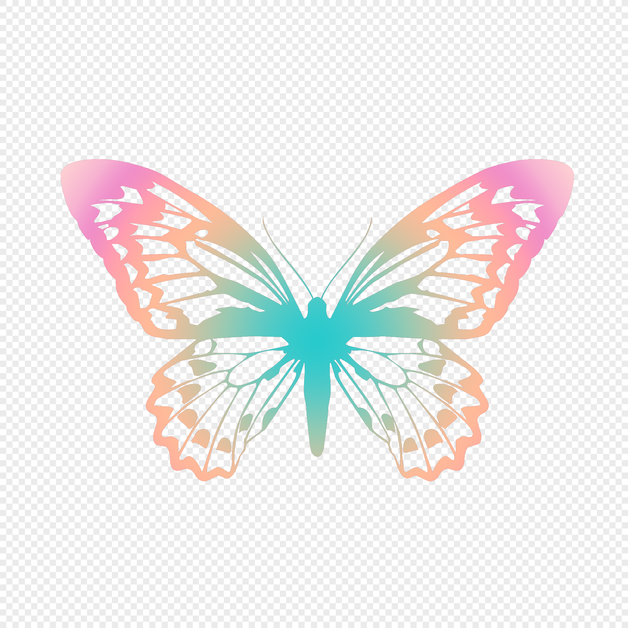 Colorful Butterfly Logo Template – roxiehristev.com