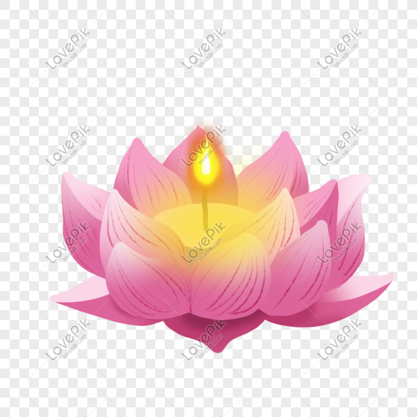 lotus light