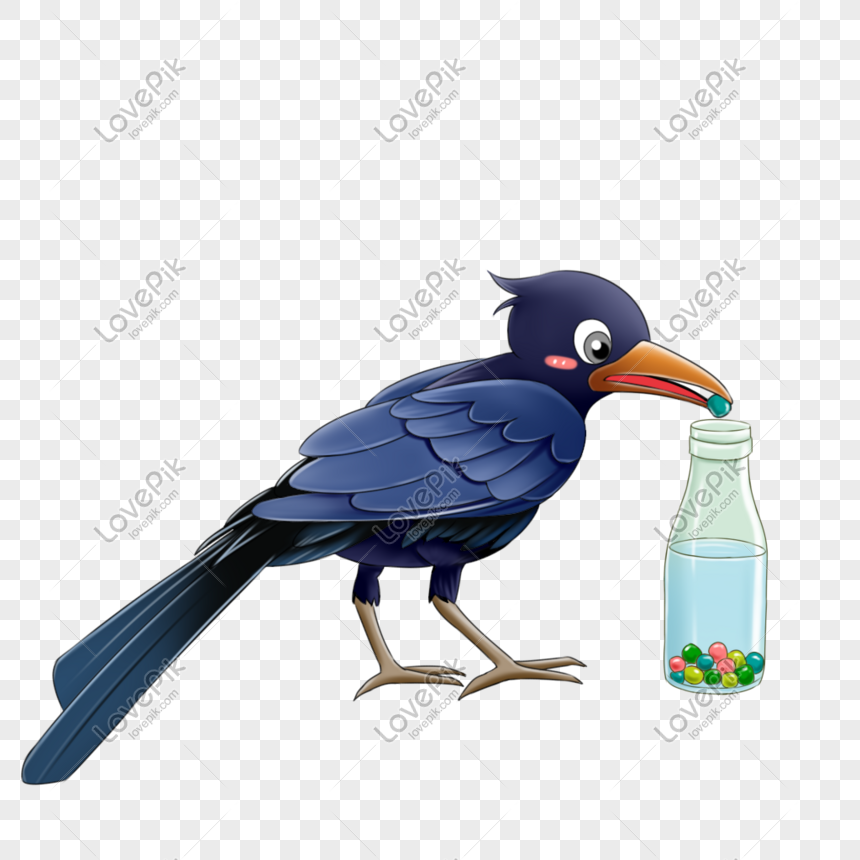 A Crow Drinks Water PNG Transparent And Clipart Image For Free Download -  Lovepik | 401443866