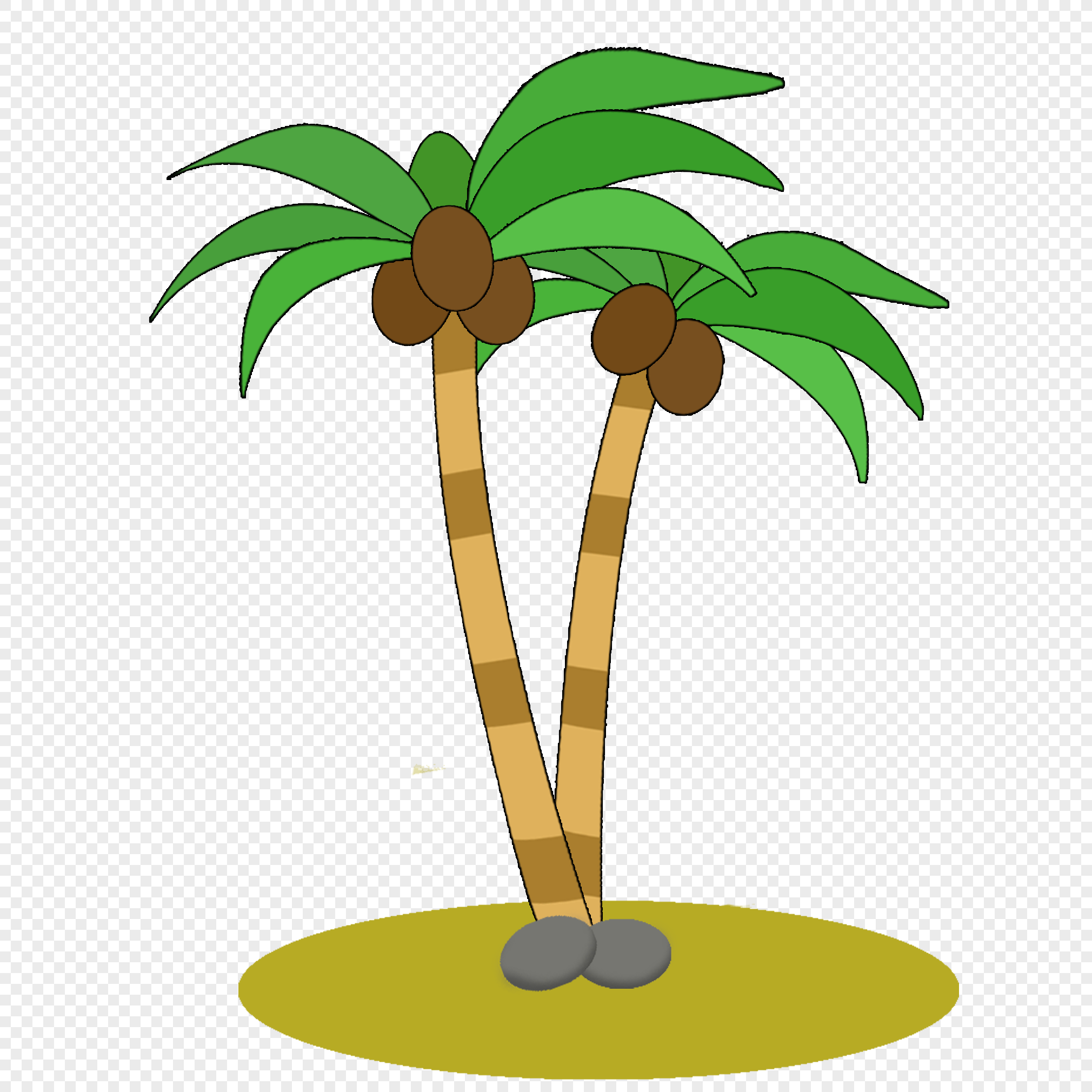Пальма с кокосами на белом фоне
