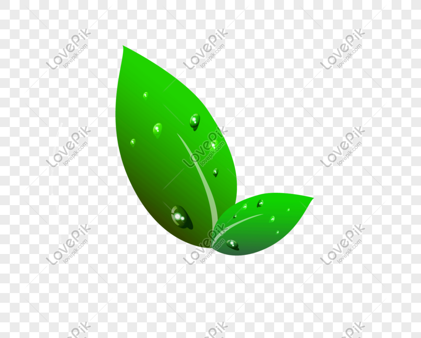 Green Leaf With Water Drops, Drop, Water Leaves, Material PNG Transparent  Background And Clipart Image For Free Download - Lovepik