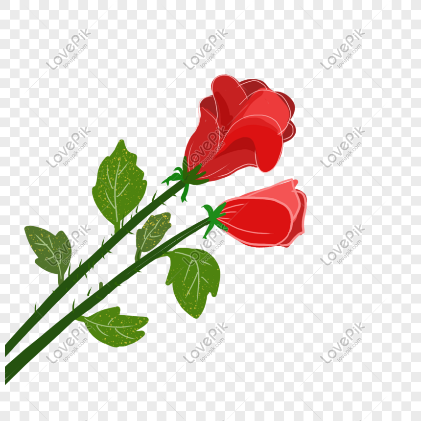 2 roses clipart background