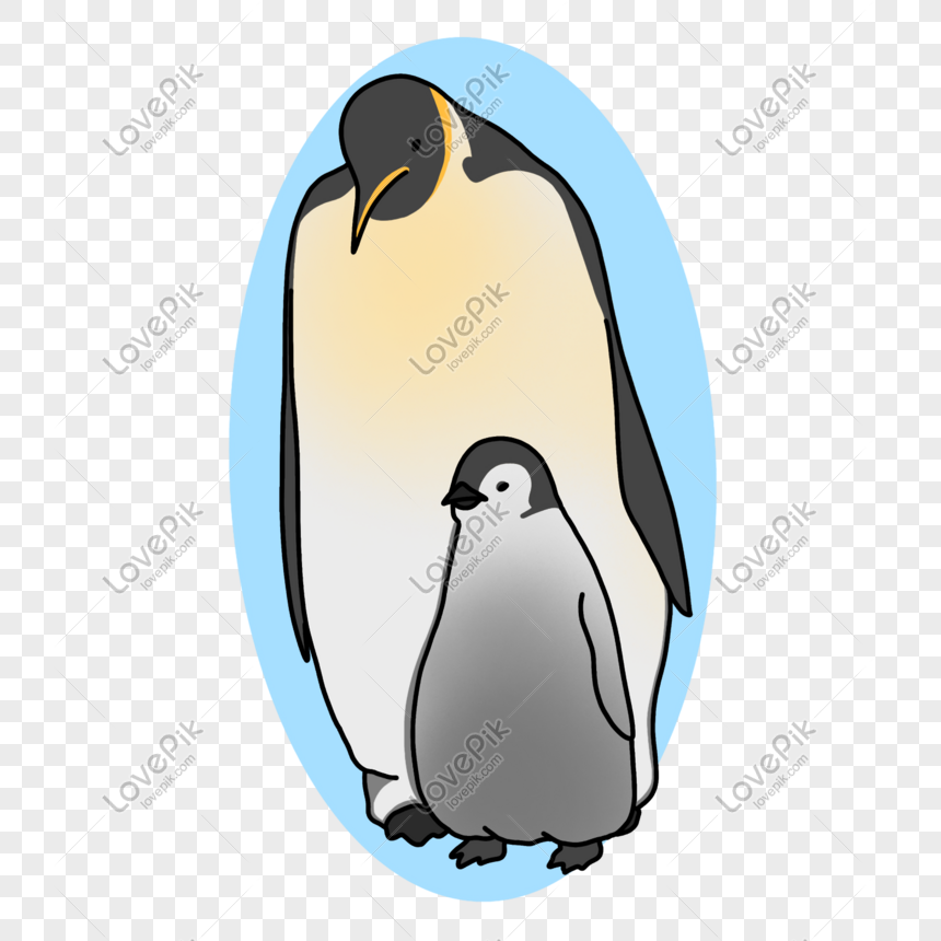 Photo De Pingouin Dessin Anime Et Bebe Numero De L Image Format D Image Psd Fr Lovepik Com