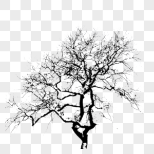 Black Tree PNG Images With Transparent Background | Free Download On Lovepik