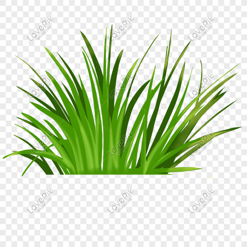 Grass Png Image Psd File Free Download Lovepik