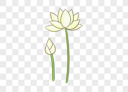 White Lotus Png Images With Transparent Background Free Download On Lovepik