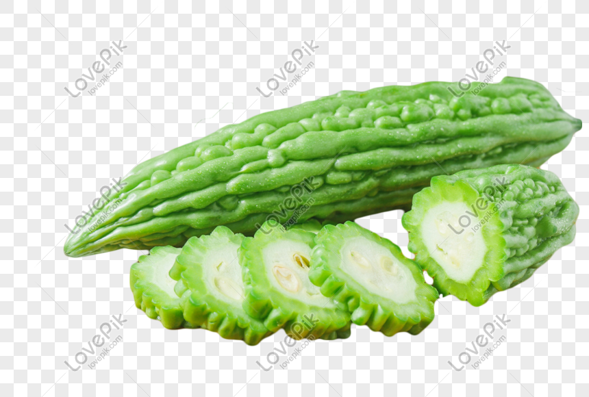 Fresh Bitter Gourd Png Image Picture Free Download 401486688 Lovepik Com