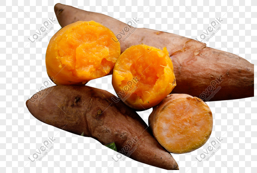 roasted sweet potato png image picture free download 401487374 lovepik com roasted sweet potato png image picture