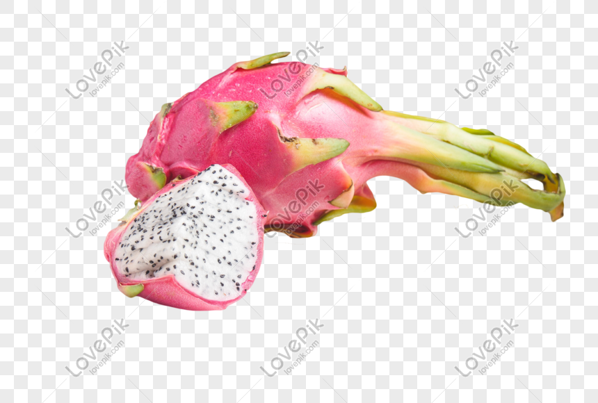 imported dragon fruit png image picture free download 401488256 lovepik com lovepik