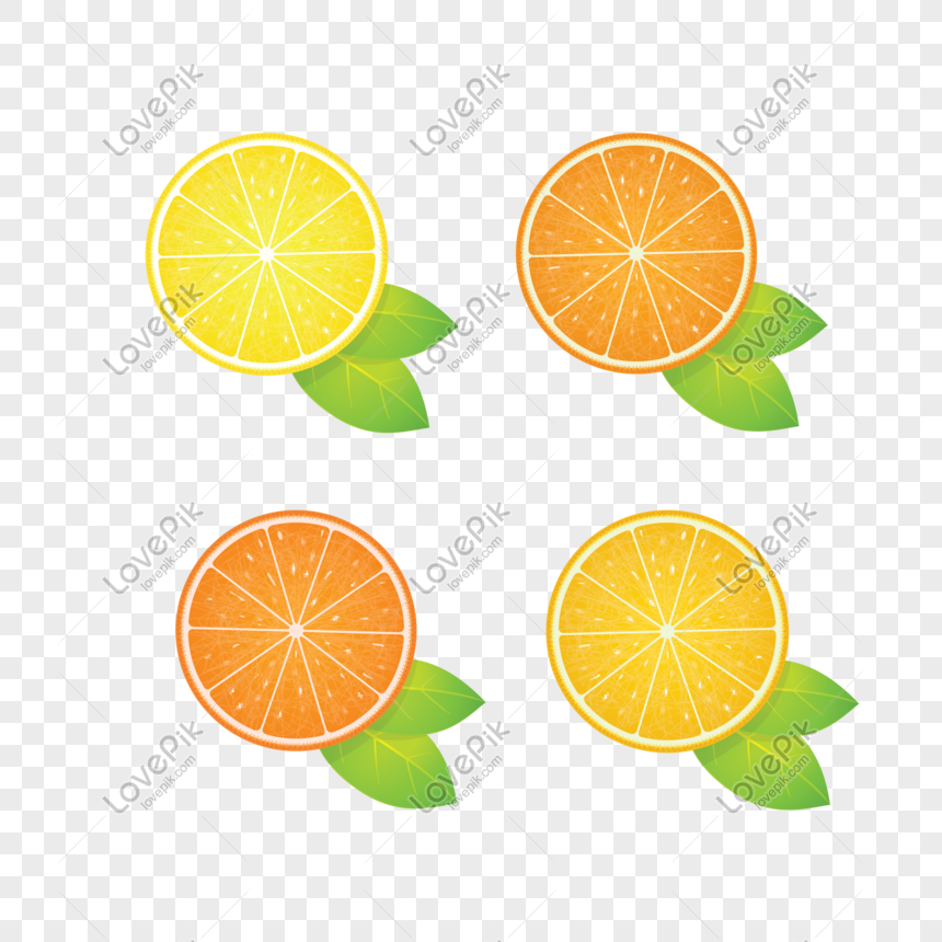 orange fruit png image picture free download 401489814 lovepik com lovepik