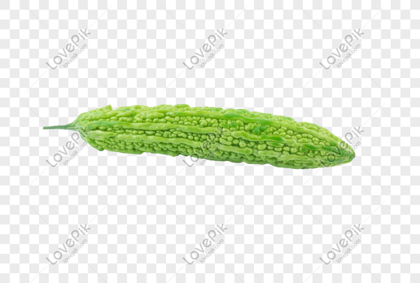 Bitter Gourd Png Image Picture Free Download 401493432 Lovepik Com