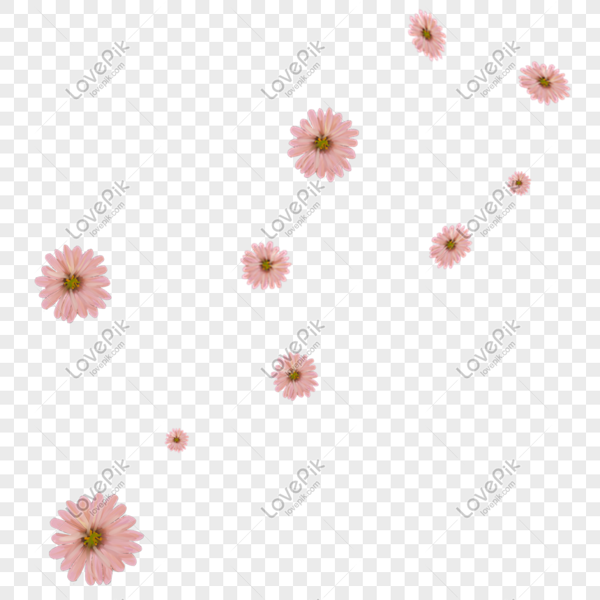 falling flowers png image picture free download 401494690 lovepik com falling flowers png image picture free