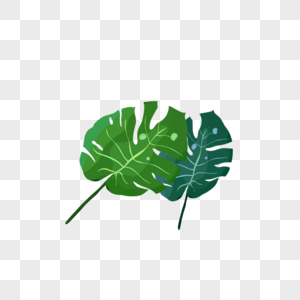 Sage Green Leaves PNG Images With Transparent Background | Free ...