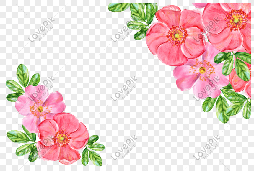 Elemen Lukisan Tanaman Bunga Mawar Png Grafik Gambar Unduh Gratis Lovepik