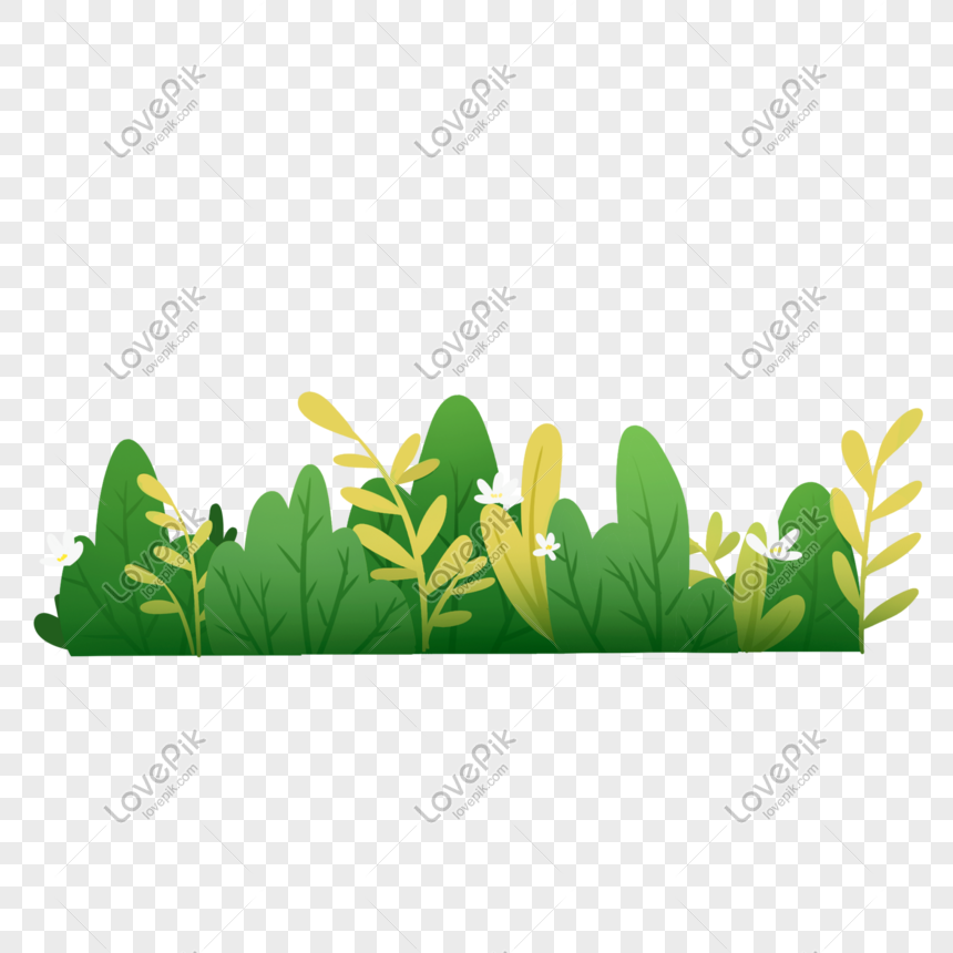 hình ảnh : thiên nhiên, thực vật, đồng cỏ, Lá, Cánh hoa, mùa hè, màu xanh lá,  Thực vật học, vườn, Hồng, Hệ thực vật, cây, Hoa dại, Cây bụi, Chi nhánh,