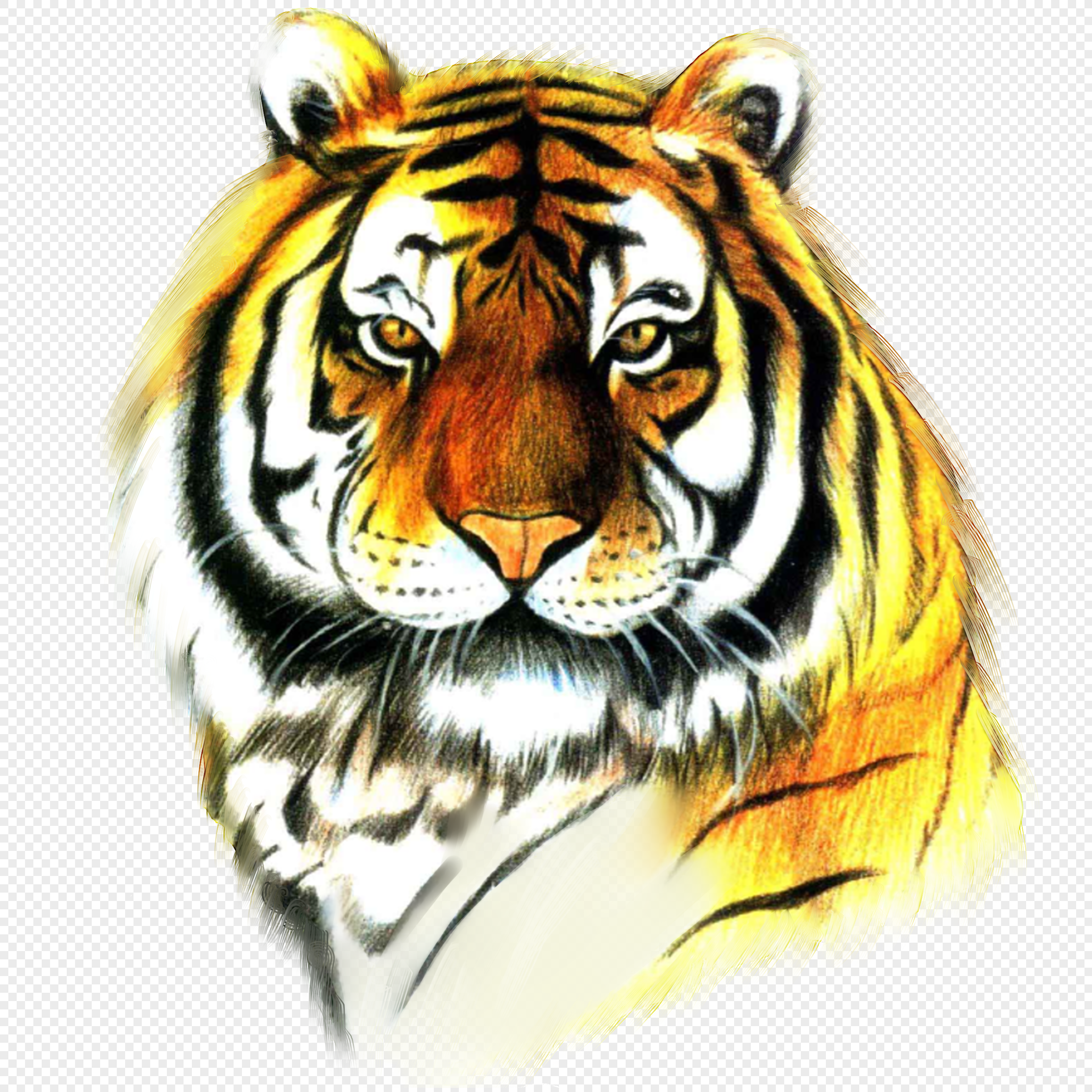 Виньетка тигр
