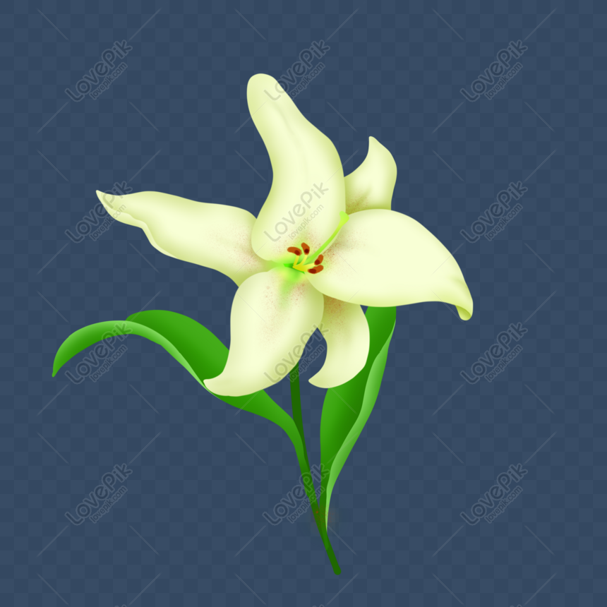 A Pale Yellow Lily Png Image Picture Free Download Lovepik Com