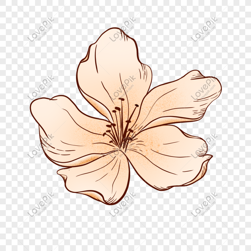 petaled flower