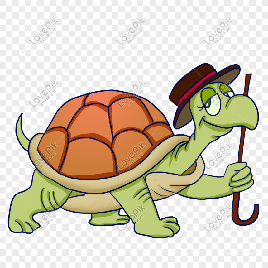 Photo De Tortue Numero De L Image401527901 Format D Image Png Fr Lovepik Com