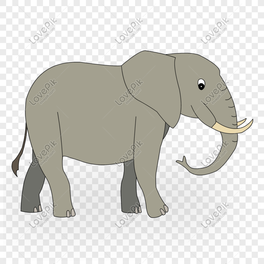 Elephant Png Image Picture Free Download 401530492 Lovepik Com