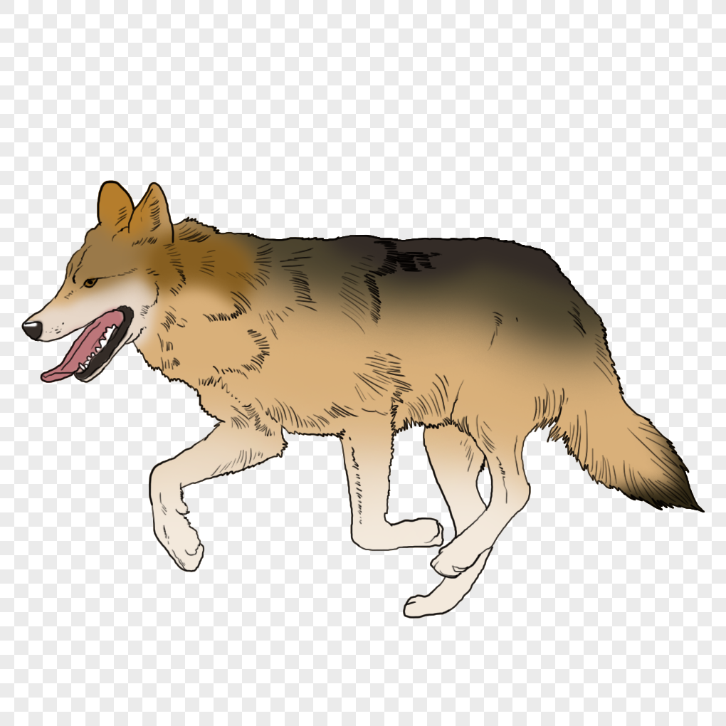 Cartoon Wolf PNG Images With Transparent Background | Free Download On  Lovepik